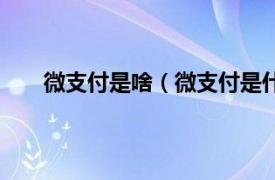 微支付是啥（微支付是什么意思相关内容简介介绍）