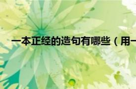 一本正经的造句有哪些（用一本正经造句相关内容简介介绍）