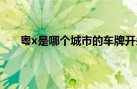 粤x是哪个城市的车牌开头（粤x是哪个城市的车牌）