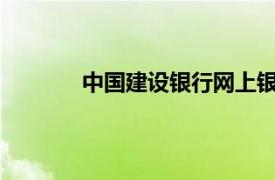 中国建设银行网上银行登录密码忘了怎么办