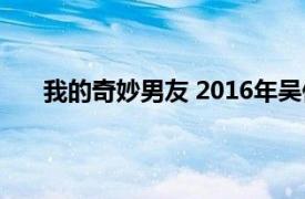 我的奇妙男友 2016年吴倩,金泰焕主演电视剧叫什么