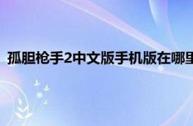 孤胆枪手2中文版手机版在哪里可以下载啊（孤胆枪手2中文版）