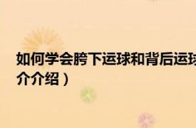 如何学会胯下运球和背后运球（初学者怎么胯下运球相关内容简介介绍）