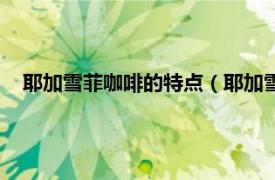 耶加雪菲咖啡的特点（耶加雪菲咖啡特点相关内容简介介绍）