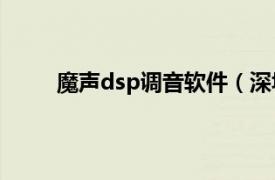 魔声dsp调音软件（深圳魔调声科科技有限公司）