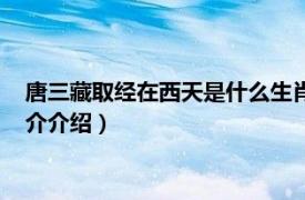 唐三藏取经在西天是什么生肖（唐三藏属于什么生肖相关内容简介介绍）