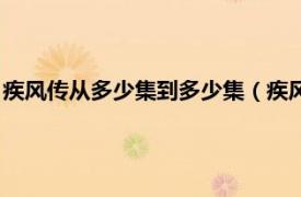 疾风传从多少集到多少集（疾风传多少集开始相关内容简介介绍）