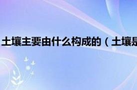 土壤主要由什么构成的（土壤是由什么组成的相关内容简介介绍）