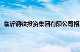 临沂钢铁投资集团有限公司招聘（临沂钢铁投资集团有限公司）