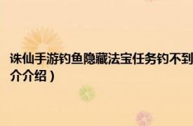 诛仙手游钓鱼隐藏法宝任务钓不到鱼（诛仙钓鱼隐藏任务怎么做相关内容简介介绍）