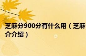 芝麻分900分有什么用（芝麻分900分以上都是什么人相关内容简介介绍）