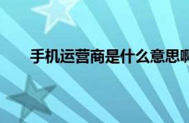 手机运营商是什么意思啊（手机运营商是什么意思）