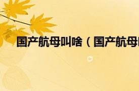 国产航母叫啥（国产航母叫什么名相关内容简介介绍）