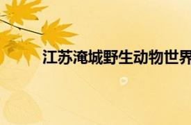 江苏淹城野生动物世界有限公司工作待遇怎么样