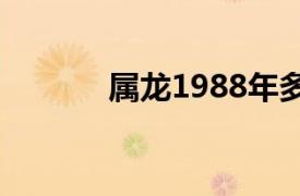 属龙1988年多大（88年多大）