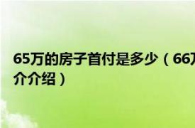 65万的房子首付是多少（66万的房子首付多少最合适相关内容简介介绍）