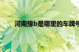 河南豫b是哪里的车牌号（豫b是河南哪里的车牌）