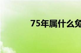 75年属什么兔（75年属什么）