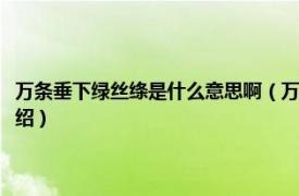 万条垂下绿丝绦是什么意思啊（万条垂下绿丝绦是什么意思相关内容简介介绍）