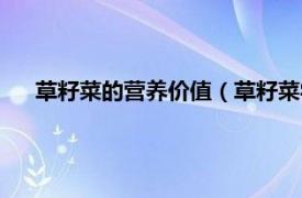 草籽菜的营养价值（草籽菜学名叫什么相关内容简介介绍）