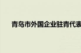 青岛市外国企业驻青代表机构管理暂行规定实施细则