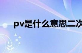 pv是什么意思二次元（pv是什么意思）