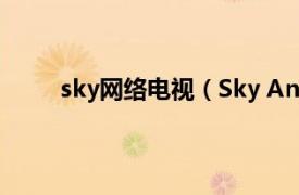 sky网络电视（Sky Angel 广播电视节目提供商）