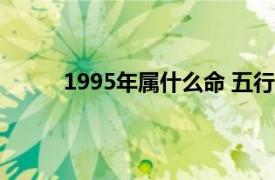 1995年属什么命 五行属什么（1995年属什么）