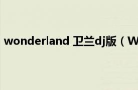 wonderland 卫兰dj版（WONDERLAND 卫兰演唱歌曲）