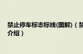 禁止停车标志标线(图解)（禁止停车标志标线哪些相关内容简介介绍）