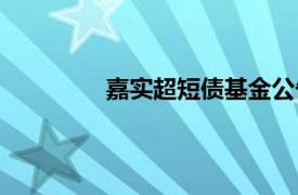 嘉实超短债基金公告（嘉实超短债基金）