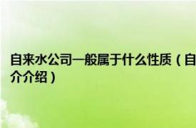 自来水公司一般属于什么性质（自来水公司属于什么性质的单位相关内容简介介绍）