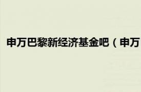 申万巴黎新经济基金吧（申万巴黎新经济混合型证券投资基金）