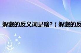 躲藏的反义词是啥?（躲藏的反义词是什么呢相关内容简介介绍）