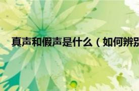 真声和假声是什么（如何辨别真声和假声相关内容简介介绍）