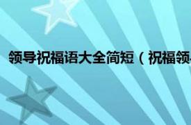 领导祝福语大全简短（祝福领导最实在的话相关内容简介介绍）