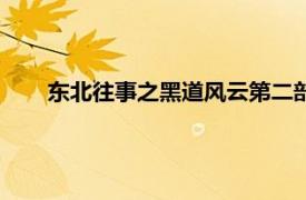 东北往事之黑道风云第二部全集（东北往事之黑道风云）