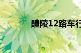 醴陵12路车行驶路线（醴陵）