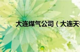 大连煤气公司（大连天宇清洁能源供热有限公司）