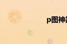 p图神器（P图）