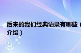 后来的我们经典语录有哪些（后来的我们经典语录相关内容简介介绍）