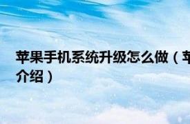 苹果手机系统升级怎么做（苹果手机怎么升级系统相关内容简介介绍）