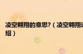 凌空翱翔的意思?（凌空翱翔这个词的意思是什么相关内容简介介绍）