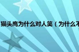 猫头鹰为什么对人笑（为什么不能对猫头鹰笑相关内容简介介绍）