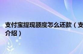 支付宝提现额度怎么还款（支付宝2万提现怎么还款相关内容简介介绍）