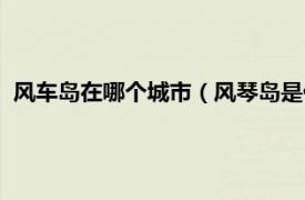 风车岛在哪个城市（风琴岛是什么地方城市相关内容简介介绍）