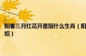 阳春三月红花开是指什么生肖（阳春三月红花开是什么动物相关内容简介介绍）