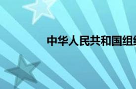 中华人民共和国组织机构代码证信息查询