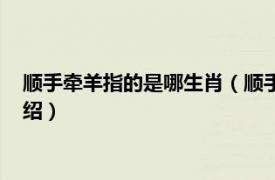 顺手牵羊指的是哪生肖（顺手牵羊形容什么生肖相关内容简介介绍）