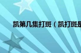 凯第几集打斑（凯打斑是哪一集相关内容简介介绍）